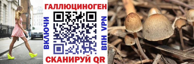 Псилоцибиновые грибы Cubensis  Ува 